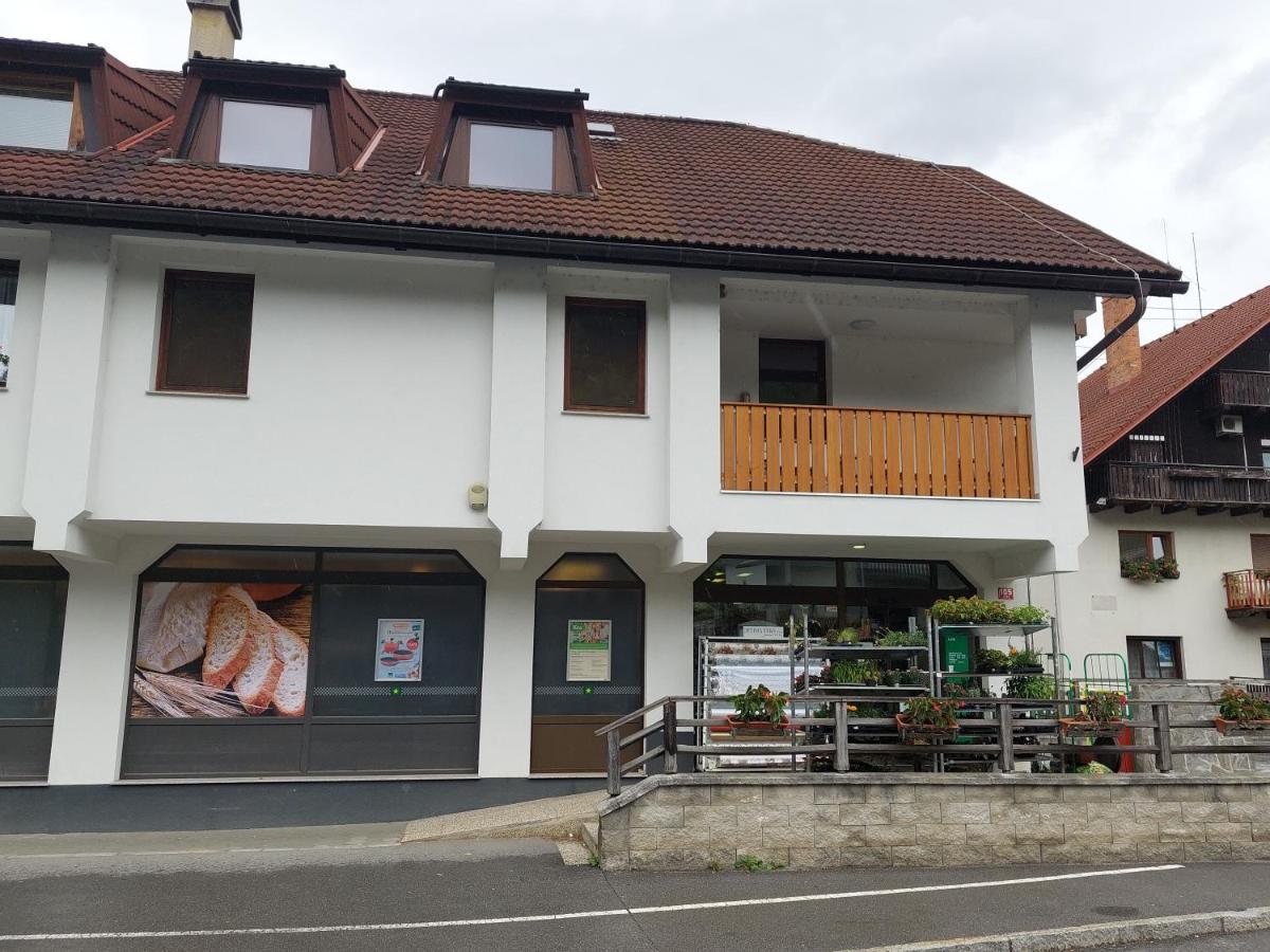 Apartment Veninsek Luče المظهر الخارجي الصورة